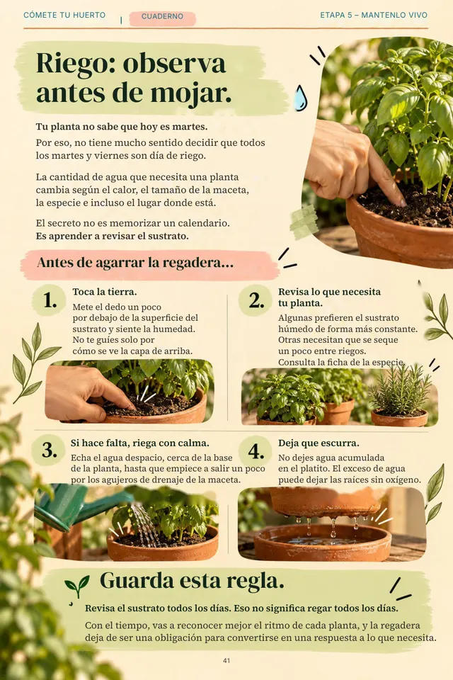 Página de la guía sobre riego: observa antes de mojar